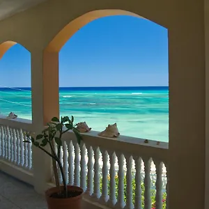 Calypso Jamaica Apartment